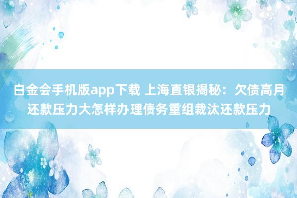 白金会手机版app下载 上海直银揭秘：欠债高月还款压力大怎样办理债务重组裁汰还款压力