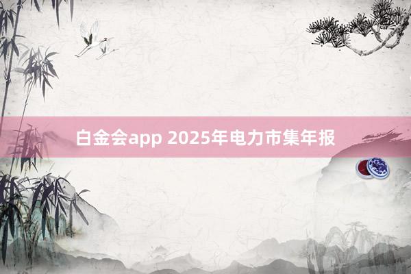 白金会app 2025年电力市集年报
