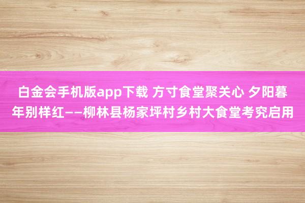 白金会手机版app下载 方寸食堂聚关心 夕阳暮年别样红——柳林县杨家坪村乡村大食堂考究启用