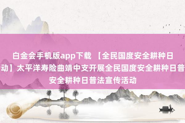 白金会手机版app下载 【全民国度安全耕种日普法宣传活动】太平洋寿险曲靖中支开展全民国度安全耕种日普法宣传活动