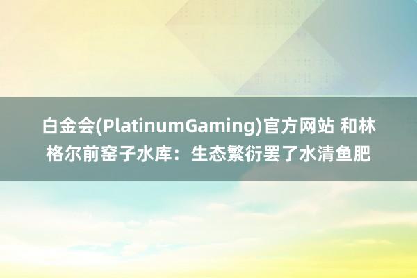 白金会(PlatinumGaming)官方网站 和林格尔前窑子水库：生态繁衍罢了水清鱼肥