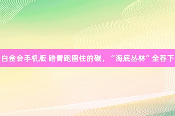 白金会手机版 踏青跑留住的碳，“海底丛林”全吞下