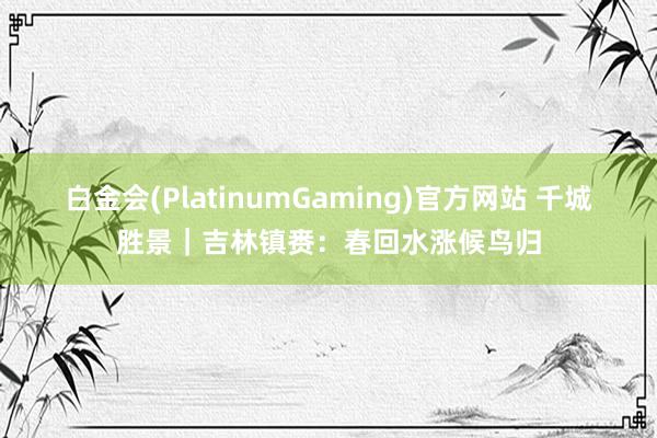 白金会(PlatinumGaming)官方网站 千城胜景｜吉林镇赉：春回水涨候鸟归