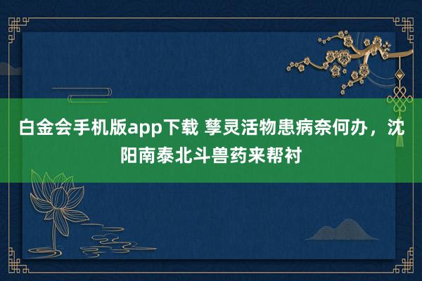 白金会手机版app下载 孳灵活物患病奈何办，沈阳南泰北斗兽药来帮衬