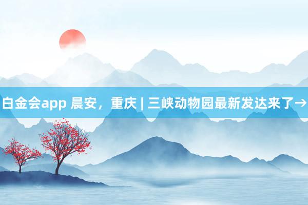 白金会app 晨安，重庆 | 三峡动物园最新发达来了→