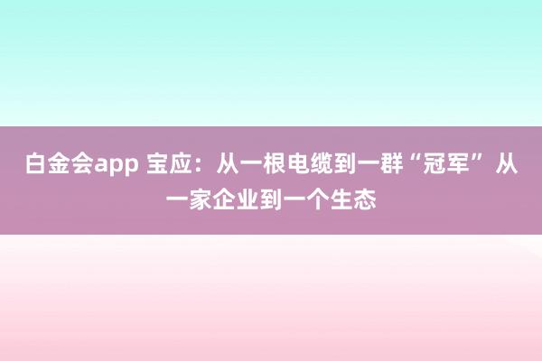 白金会app 宝应：从一根电缆到一群“冠军” 从一家企业到一个生态