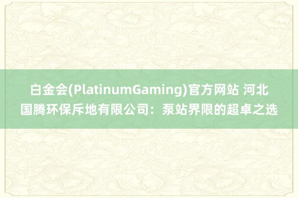 白金会(PlatinumGaming)官方网站 河北国腾环保斥地有限公司：泵站界限的超卓之选