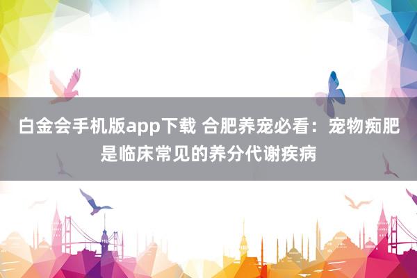 白金会手机版app下载 合肥养宠必看：宠物痴肥是临床常见的养分代谢疾病