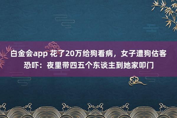 白金会app 花了20万给狗看病，女子遭狗估客恐吓：夜里带四五个东谈主到她家叩门