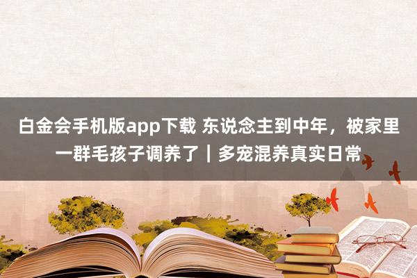 白金会手机版app下载 东说念主到中年，被家里一群毛孩子调养了｜多宠混养真实日常