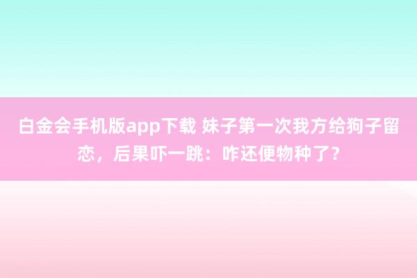 白金会手机版app下载 妹子第一次我方给狗子留恋，后果吓一跳：咋还便物种了？