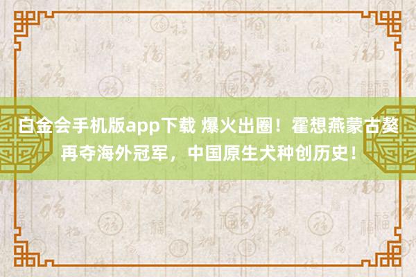 白金会手机版app下载 爆火出圈！霍想燕蒙古獒再夺海外冠军，中国原生犬种创历史！