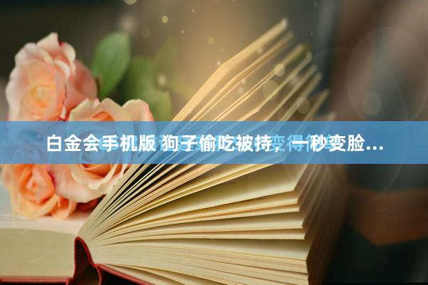 白金会手机版 狗子偷吃被持，一秒变脸...