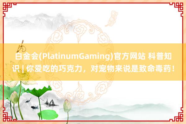 白金会(PlatinumGaming)官方网站 科普知识 | 你爱吃的巧克力，对宠物来说是致命毒药！