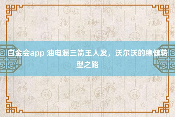 白金会app 油电混三箭王人发，沃尔沃的稳健转型之路