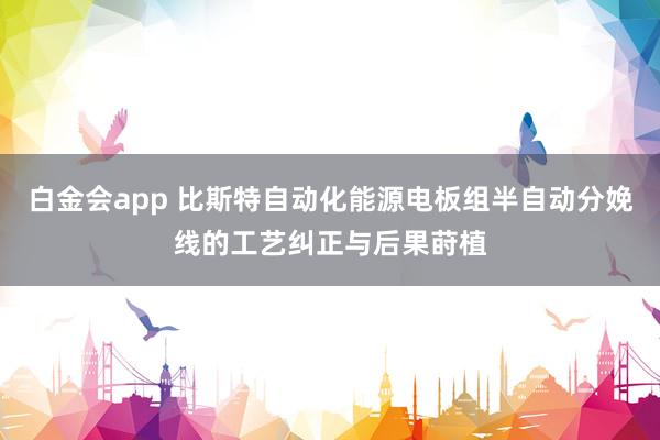 白金会app 比斯特自动化能源电板组半自动分娩线的工艺纠正与后果莳植