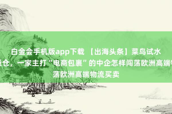 白金会手机版app下载 【出海头条】菜鸟试水德国电板仓，一家主打“电商包裹”的中企怎样闯荡欧洲高端物流买卖