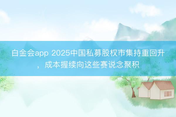 白金会app 2025中国私募股权市集持重回升，成本握续向这些赛说念聚积